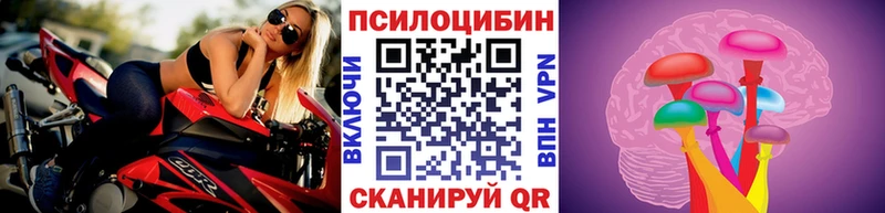 kraken ссылки  Черноголовка  Псилоцибиновые грибы Psilocybe 